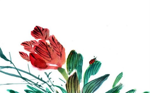 梦见狮子,周公解梦(梦见狮子周公解梦原版)