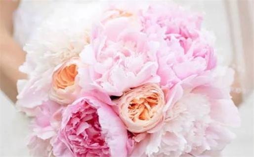 提车黄道吉日查询(提车黄道吉日查询2025)