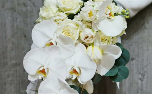 车公灵签,抽签解签,周易占卜(车公灵签在线抽签解签)