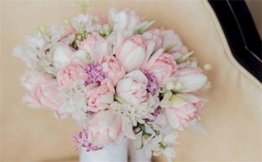 木字旁的字大全_木字旁的字大全500个