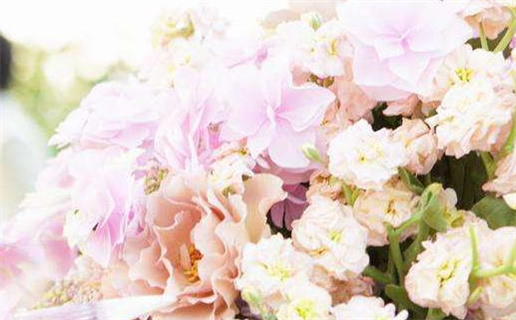 2028年02月22日结婚黄历查询 2028年02月22日结婚黄历查询