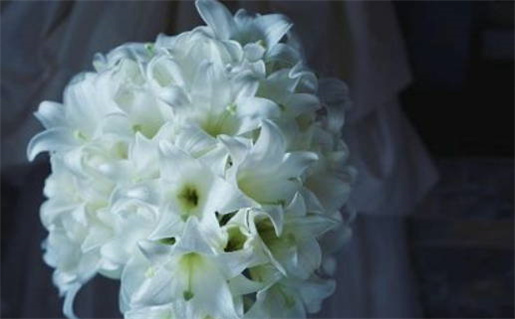 2028年12月17日不适合完婚吗,结婚吉日查询