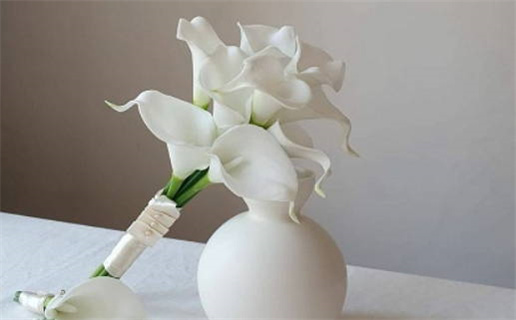 2028年03月20日结婚黄历查询 2028年03月20日结婚黄历查询