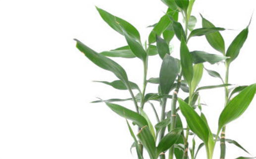 今日农历二〇二七年六月十八黄历入新宅不适宜吗,乔迁吉日