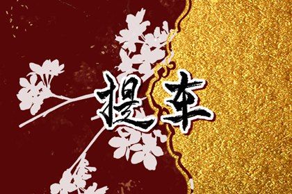 2026年07月24日提车黄历查询