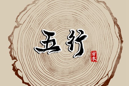 【2027.11.13】五行穿衣推荐